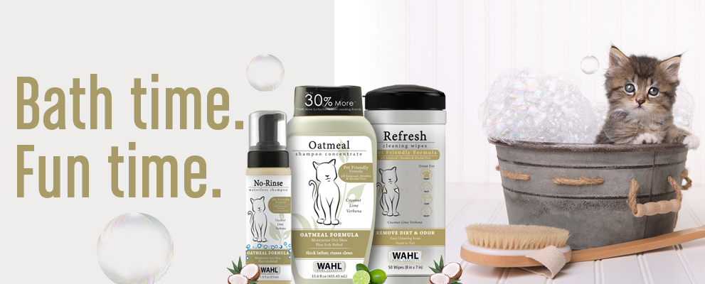 Oatmeal shampoo best sale for cats